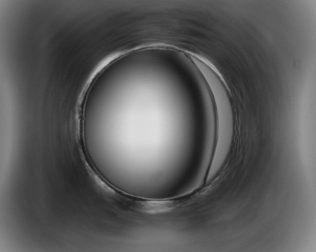 X0000085791151200703301446