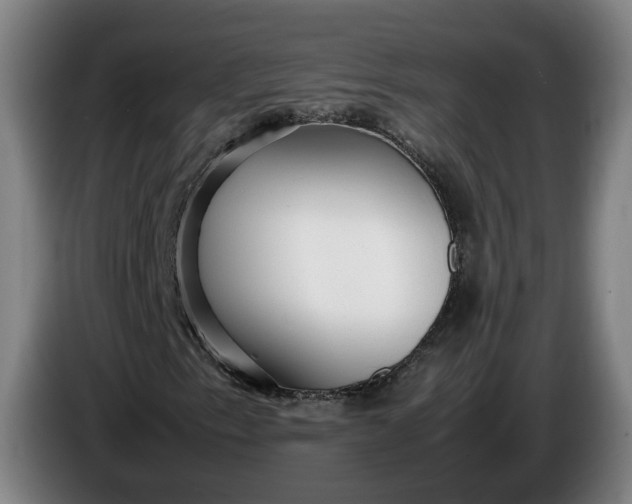 X0000085791153200703301445