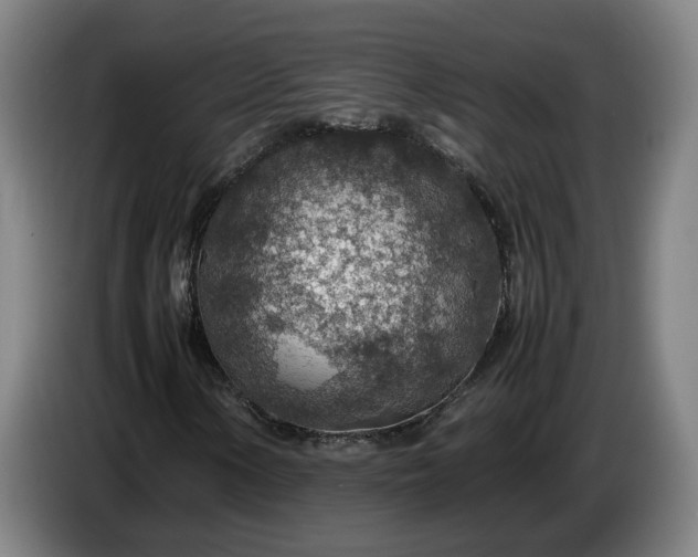 X0000085791154200703301445