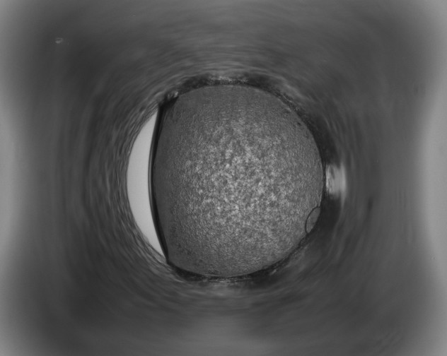 X0000085791155200703301445
