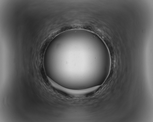X0000085791157200703301445