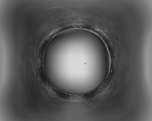 X0000085791159200703301445