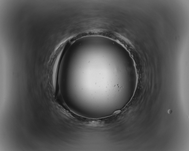 X0000085791160200703301445