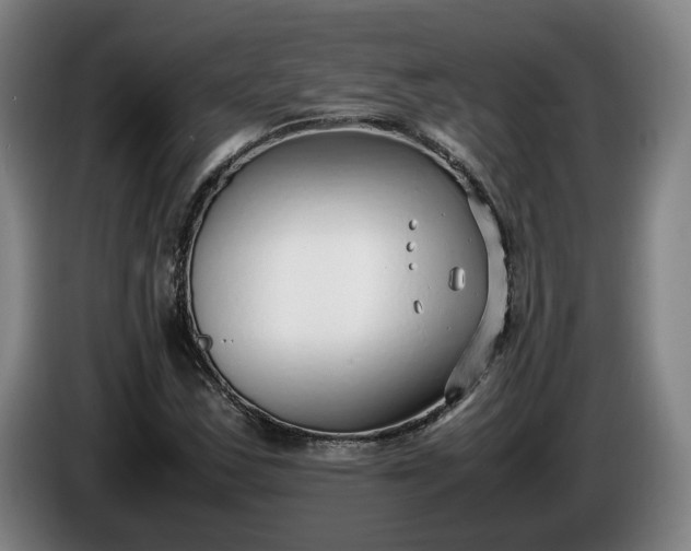 X0000085791163200703301445