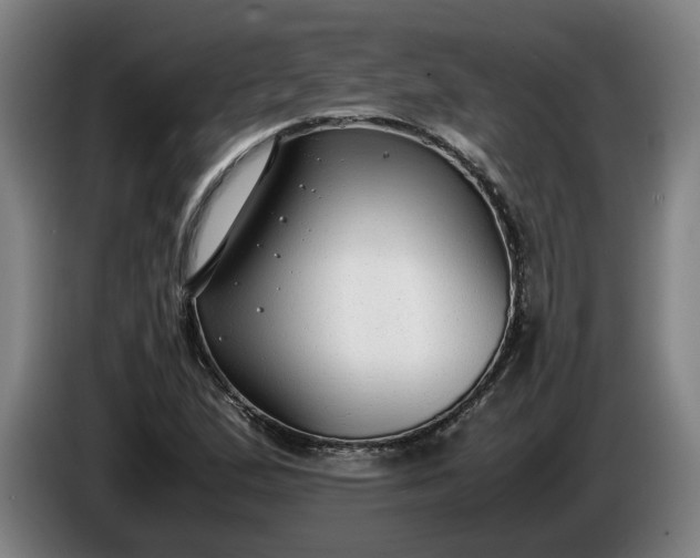 X0000085791167200703301445