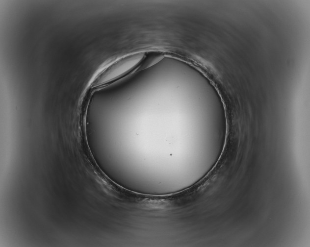 X0000085791168200703301445