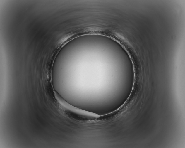 X0000085791169200703301445