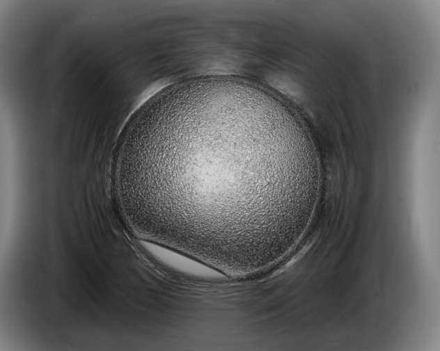 X0000085791170200703301445