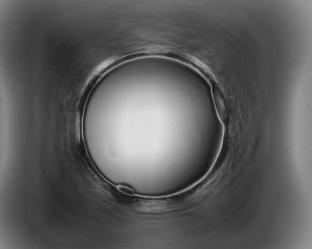 X0000085791171200703301445