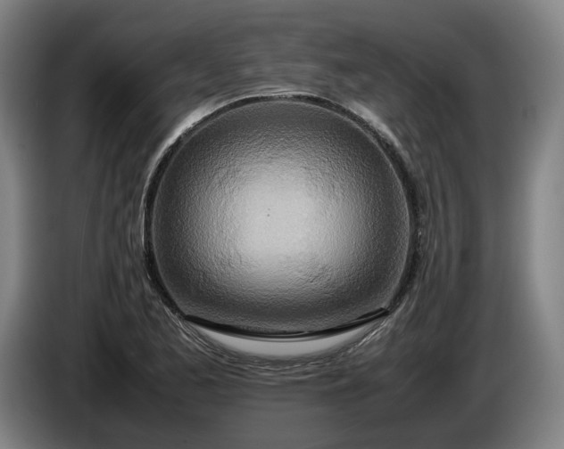 X0000085791173200703301445
