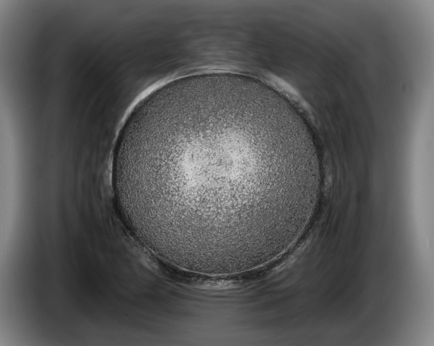 X0000085791174200703301445