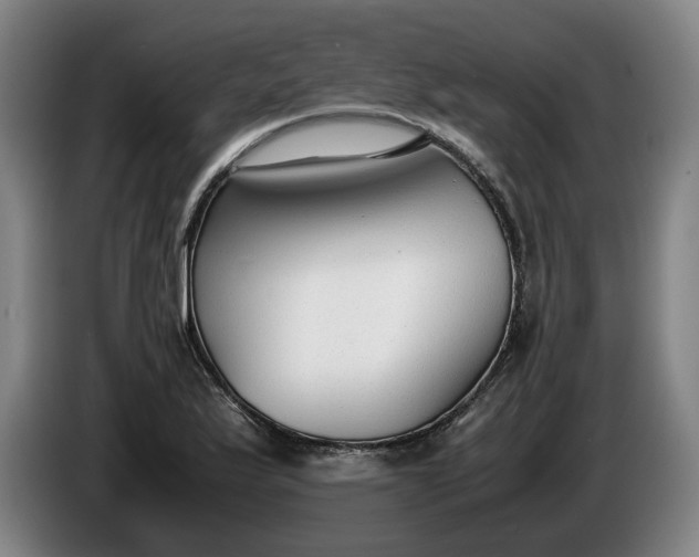 X0000085791175200703301445