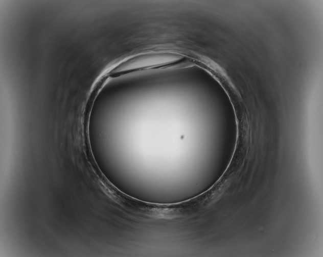 X0000085791176200703301445