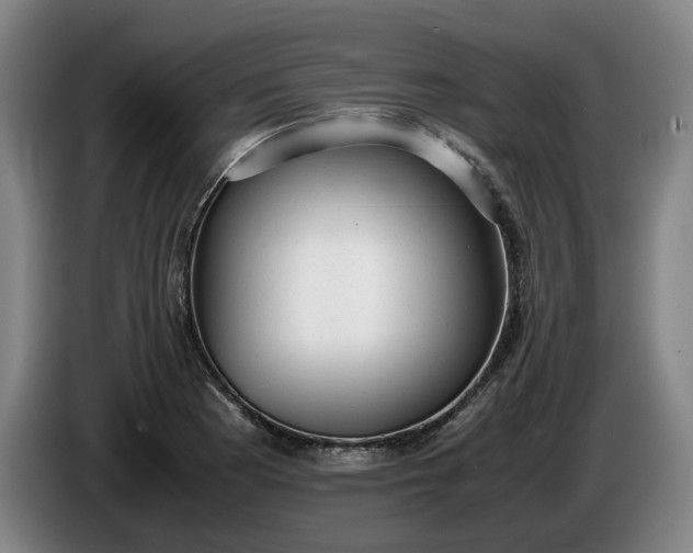X0000085791177200703301445