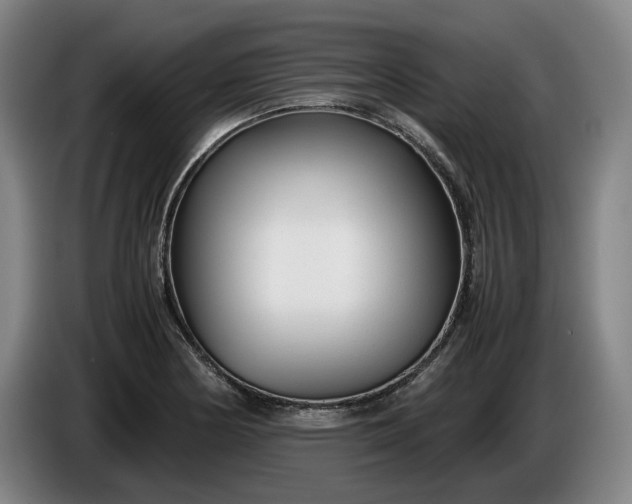X0000085791178200703301445