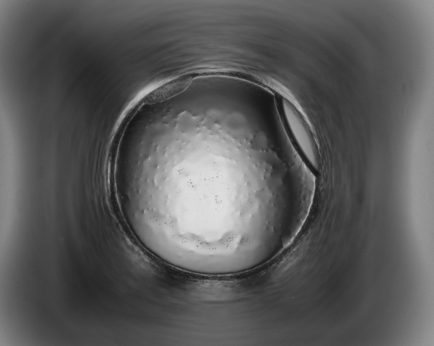 X0000085791179200703301445