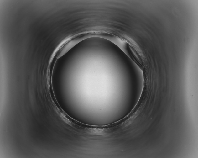 X0000085791180200703301445