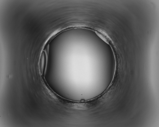 X0000085791181200703301445