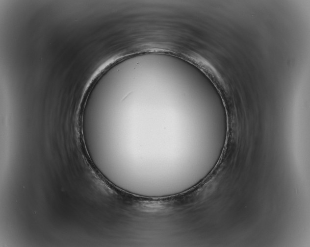 X0000085791182200703301445