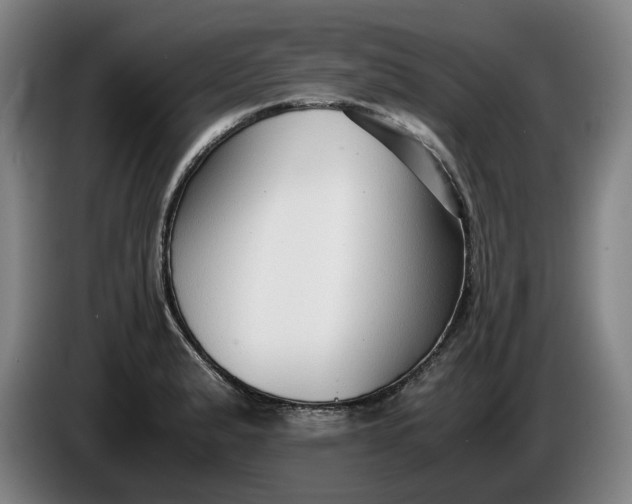 X0000085791183200703301444