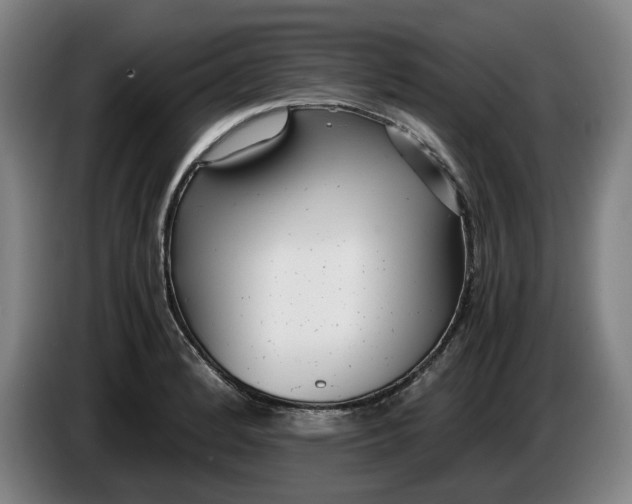 X0000085791184200703301444