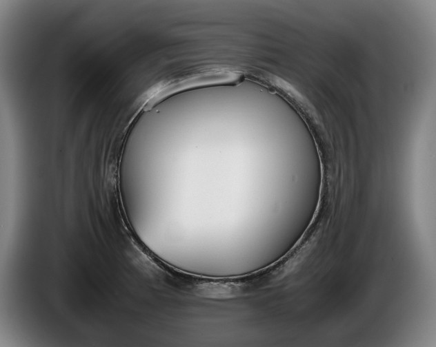X0000085791185200703301444