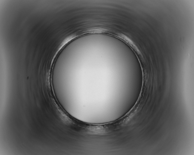 X0000085791186200703301444