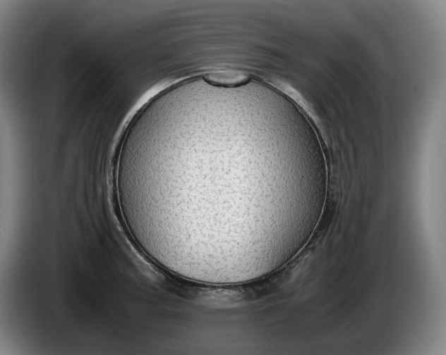 X0000085791187200703301444