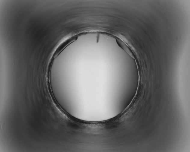 X0000085791189200703301444