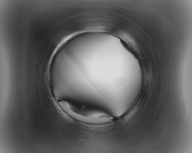 X0000085791192200703301444