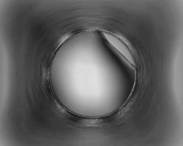 X0000085791193200703301444