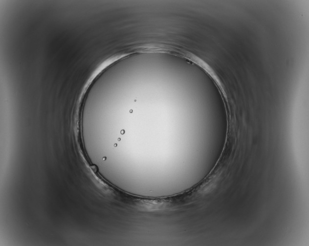 X0000085791195200703301444