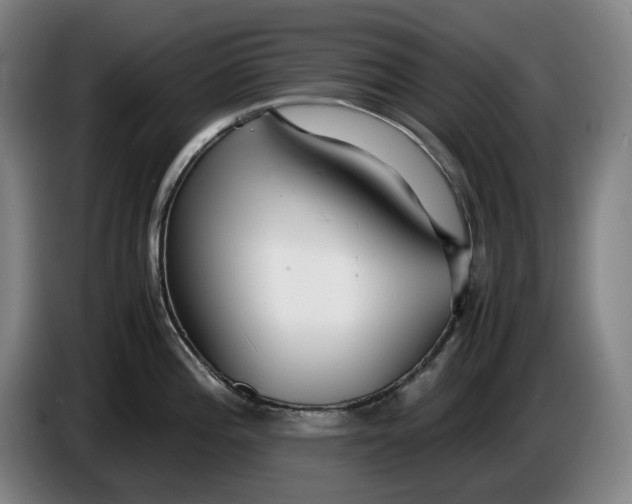 X0000085791196200703301444