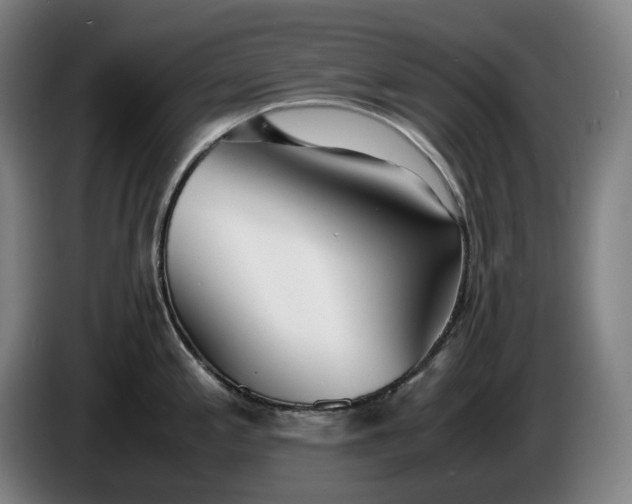 X0000085791197200703301444