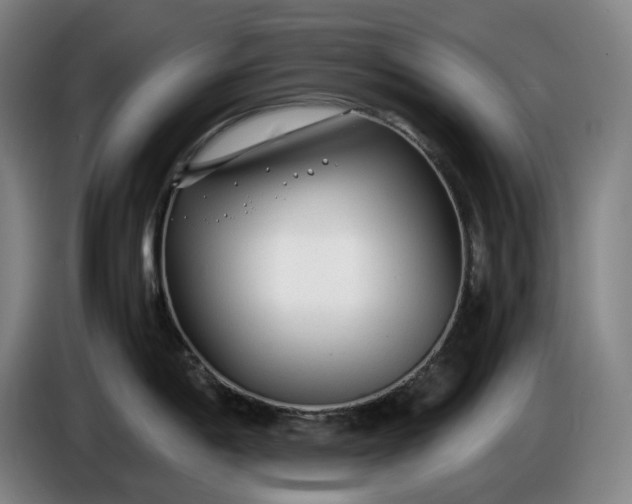X0000085791198200703301444