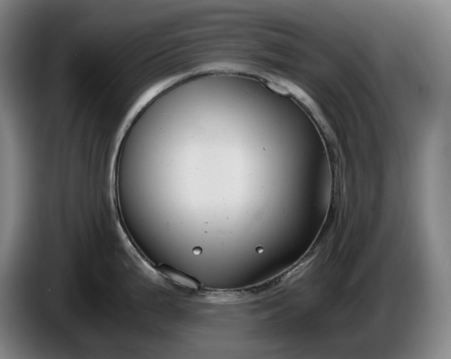 X0000085791199200703301444