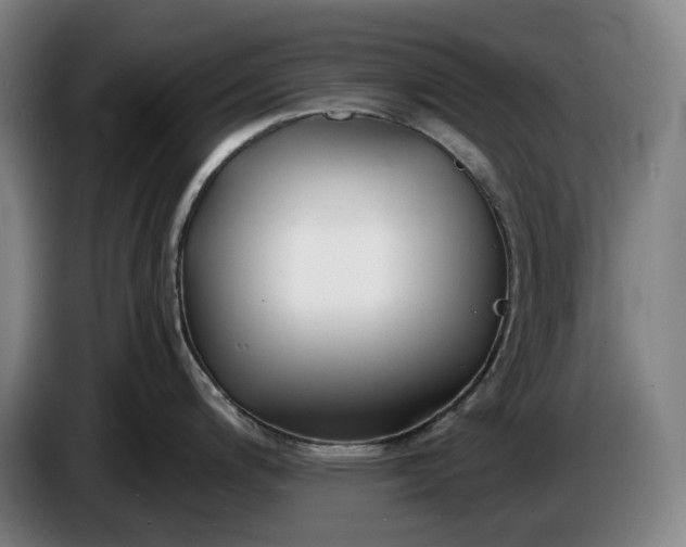 X0000085791200200703301444