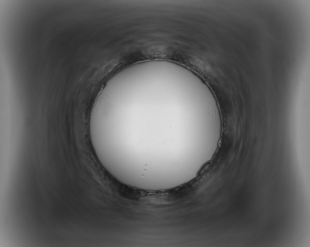 X0000085791201200703301444