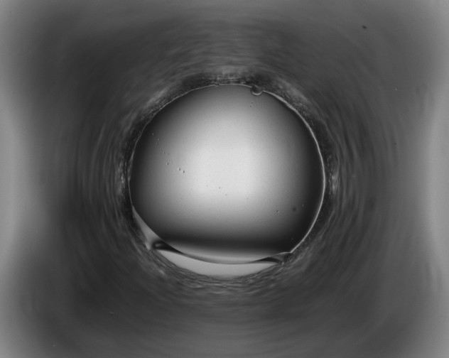 X0000085791204200703301444