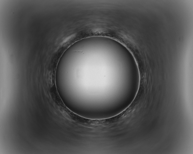 X0000085791205200703301444
