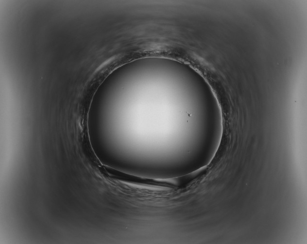 X0000085791206200703301444