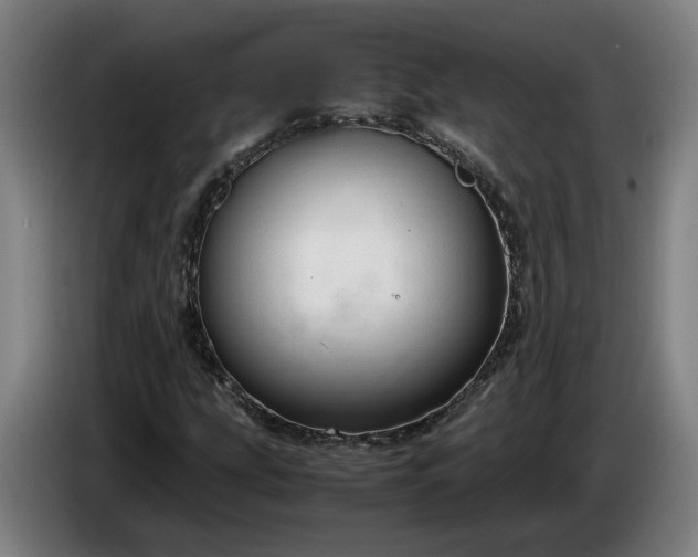 X0000085791207200703301444