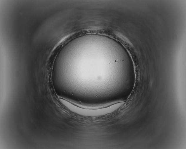 X0000085791208200703301444