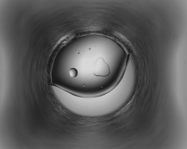 X0000085791210200703301444