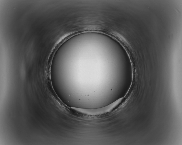 X0000085791212200703301444