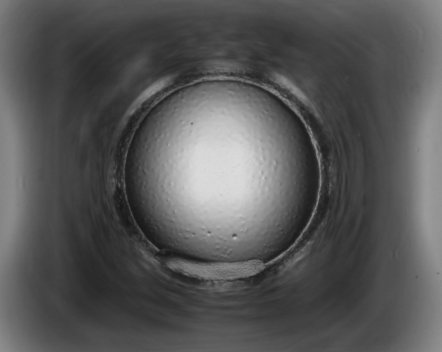 X0000085791213200703301444