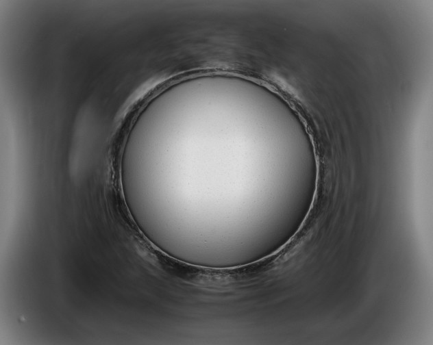 X0000085791215200703301444