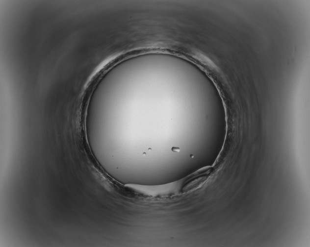 X0000085791216200703301444