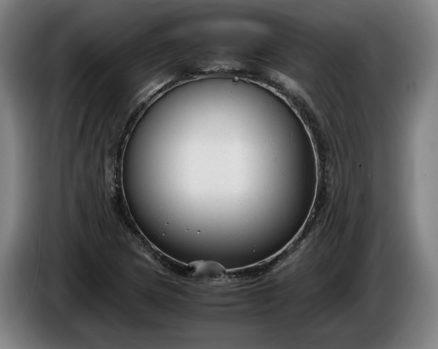 X0000085791217200703301444