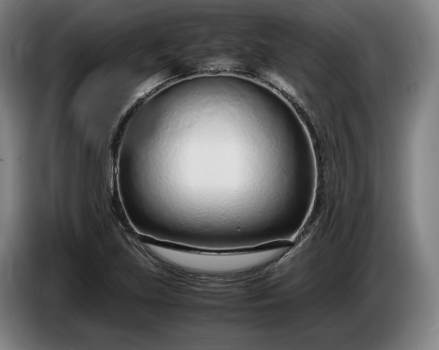 X0000085791219200703301444